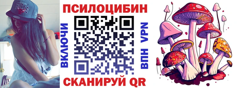 Псилоцибиновые грибы Psilocybe  Калач 